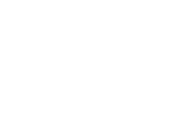 Delta Faucet Logo